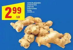 Maxi ginger root offer