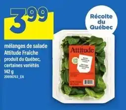 Maxi Attitude mélange de salade offer