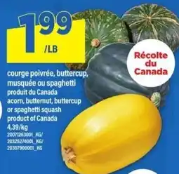 Maxi Courge poivrée, buttercup, musquée ou spaghetti squash offer
