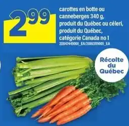 Maxi carottes en botte ou canneberges offer