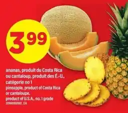 Maxi pineapple or cantaloupe offer
