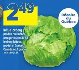 Maxi iceberg lettuce offer