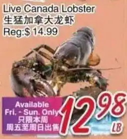 Foody Mart Live Canada Lobster offer
