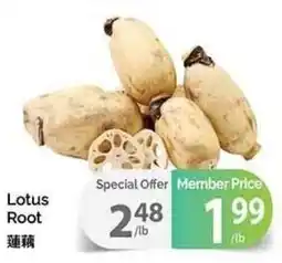 T&T Supermarket Lotus Root offer