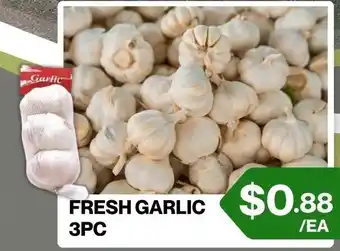 Fresh Garlic