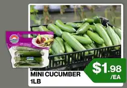 Big Bazaar Canada Sunset mini cucumber offer