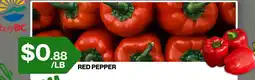 Big Bazaar Canada red pepper offer