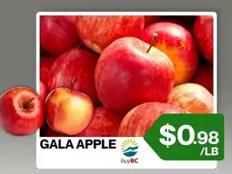 Big Bazaar Canada Gala Apple offer