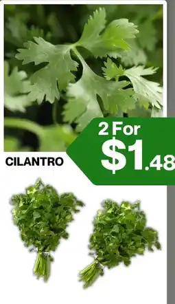 Big Bazaar Canada Cilantro offer