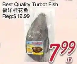 Foody Mart Best Quality Turbot Fish offer