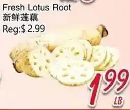 Foody Mart Fresh Lotus Root offer