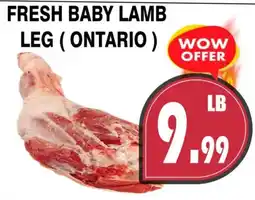 Al-Quds Supermarket Fresh baby lamb leg offer