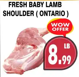 Al-Quds Supermarket Fresh baby lamb shoulder offer