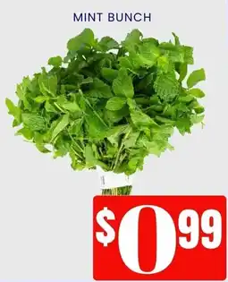 Royal India Grocers Mint Bunch offer