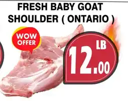 Al-Quds Supermarket Fresh baby goat shoulder offer