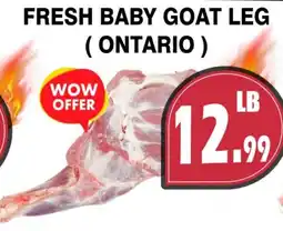 Al-Quds Supermarket Fresh baby goat leg offer