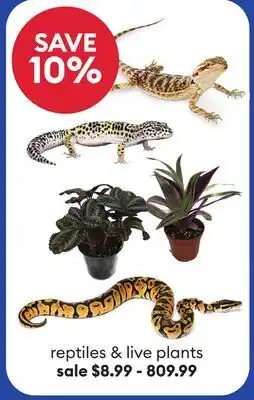 Petsmart Reptiles & live plants offer