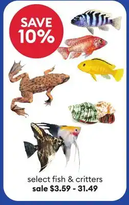 Petsmart select fish & critters offer