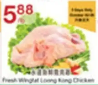Fresh Wingfat Loong Kong Chicken