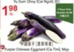 Lucky Supermarket Pupia Chinese Eggplant offer