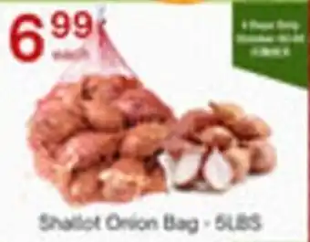 Shallot Onion Bag