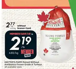 Safeway Hayter's Farm young turkey offer