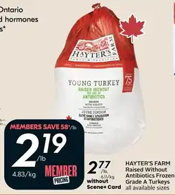 Safeway Hayter's Farm Young Turkey offer