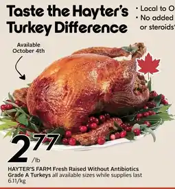 Safeway Hayter's farm fresh raised without antibiotics grade a turkeys offer