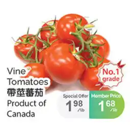 T&T Supermarket Vine Tomatoes offer