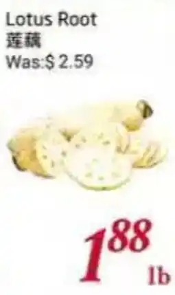 Tone Tai Supermarket Lotus Root offer