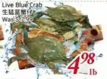 Live Blue Crab