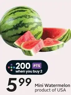 Safeway Mini Watermelon offer
