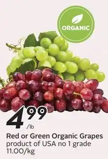 Safeway Organic Grapes offer