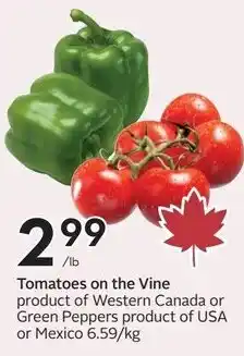 Safeway Tomatoes on the Vine or Green Peppers offer