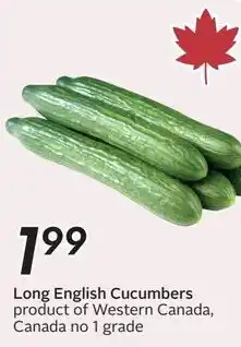 Safeway Long English Cucumbers offer