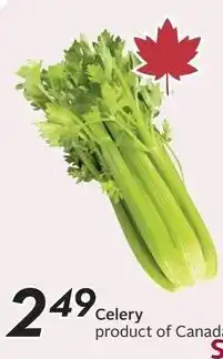 Safeway Celery offer