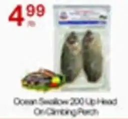 Lucky Supermarket Ocean Swallow 200 Up Head On Climbing Perch offer