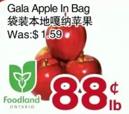 First Choice Supermarket Gala Apple In Bag offer