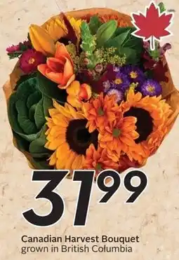 Safeway Canadian Harvest Bouquet offer