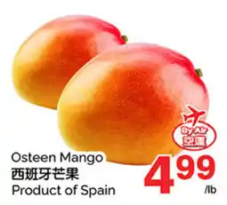 T&T Supermarket Osteen Mango offer