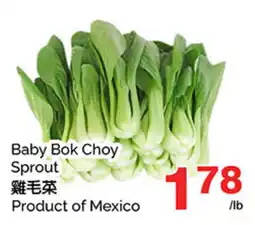 T&T Supermarket Baby Bok Choy Sprout offer