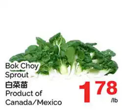 T&T Supermarket Bok Choy Sprout offer