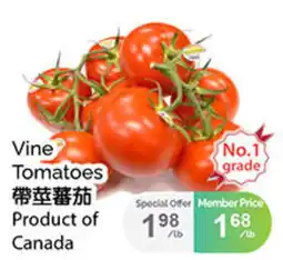 T&T Supermarket Vine Tomatoes offer