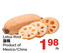 T&T Supermarket Lotus Root offer