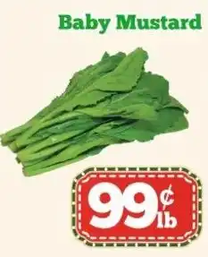 Nations Fresh Foods Baby Mustard offer