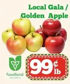 Nations Fresh Foods Gala / Golden Apple offer
