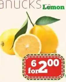 Nations Fresh Foods Lemon offer
