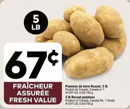 Giant Tiger Fresh Value Russet potatoes offer