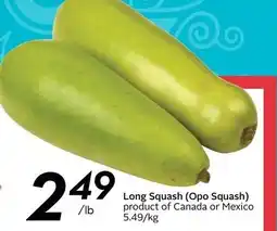 Safeway Long Squash (Opo Squash) offer