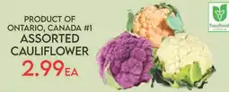 Fiesta Farms Assorted cauliflower offer